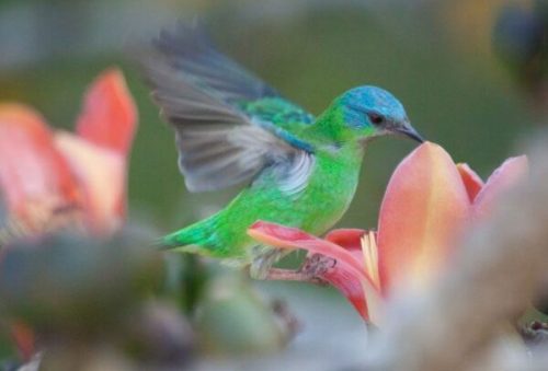 foto-concurso-de-fotografia-do-jardim-botanico-de-pocos-de-caldas-valoriza-belezas-naturais-e-culturais-21-09-26