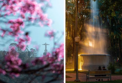 foto-vencedores-concurso-fotografico-11-11-2025