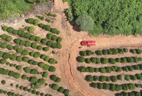 foto-corpo-de-bombeiros-realiza-buscas-por-pessoa-desaparecida-em-campestre-20-04-26