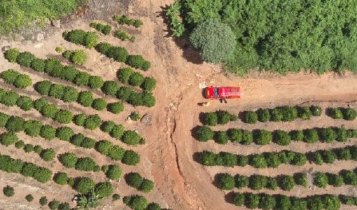 foto-corpo-de-bombeiros-realiza-buscas-por-pessoa-desaparecida-em-campestre-20-04-26