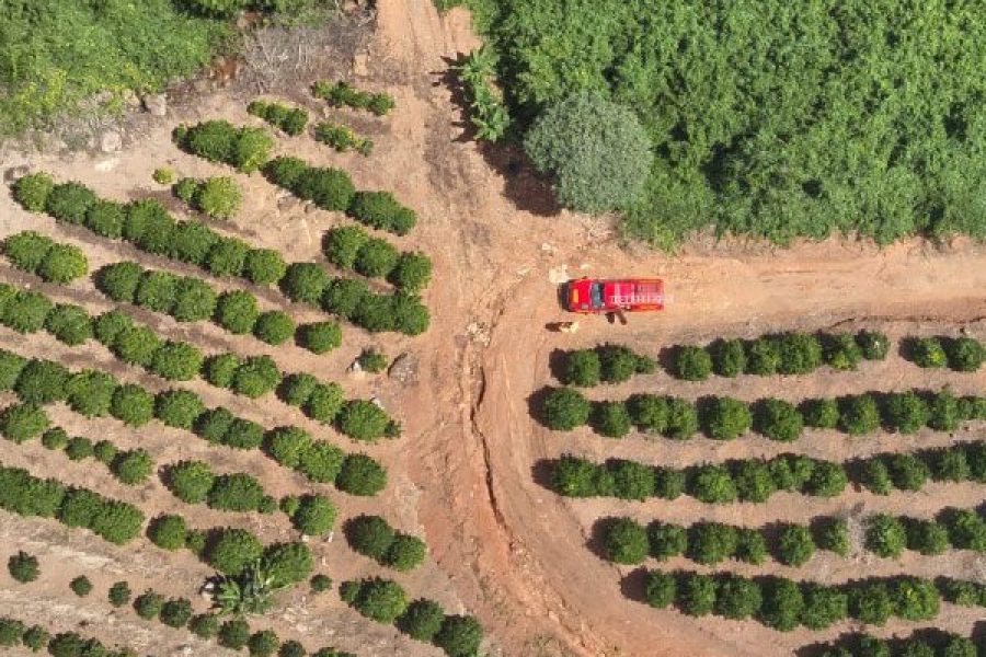 foto-corpo-de-bombeiros-realiza-buscas-por-pessoa-desaparecida-em-campestre-20-04-26