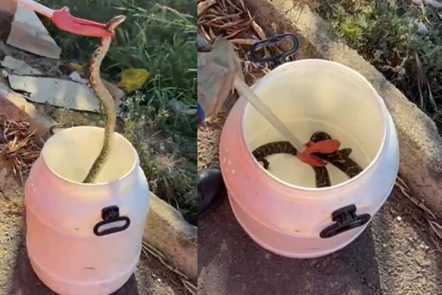 Foto: BMMG/Divulgação