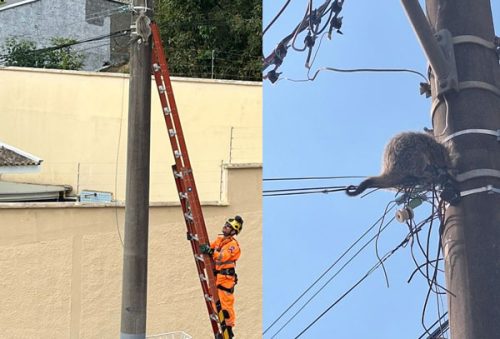 foto-corpo-bombeiros-02-10-2025