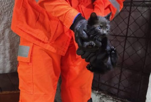 foto-bombeiros-resgate-18-03-2026