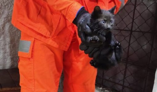 foto-bombeiros-resgate-18-03-2026