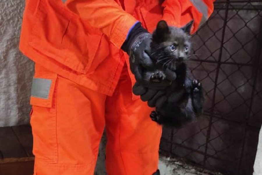 foto-bombeiros-resgate-18-03-2026
