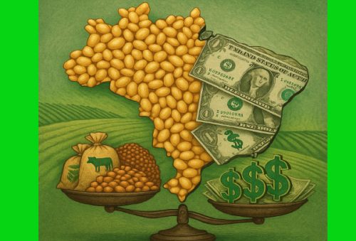 foto-editorial-campo-04-10-2025