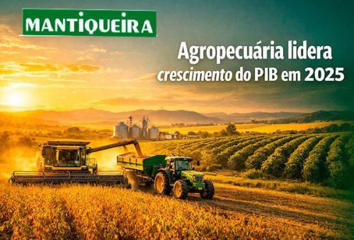 foto-editorial-campo-04-03-2026