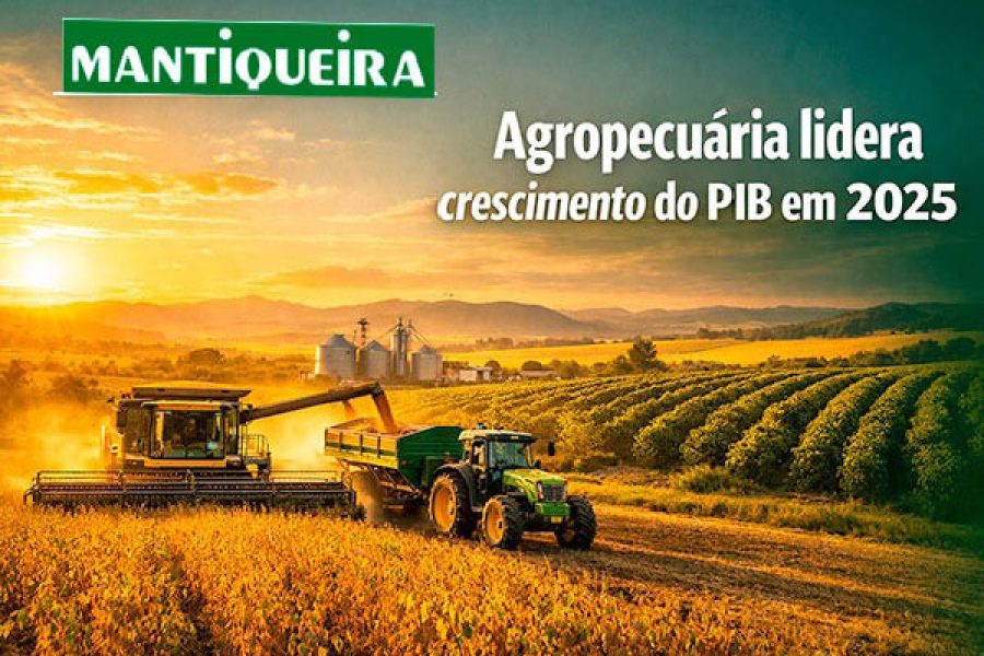 foto-editorial-campo-03-03-26