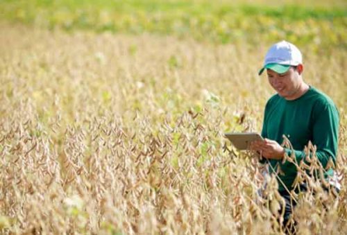 foto-faemg_senar_17_02_26