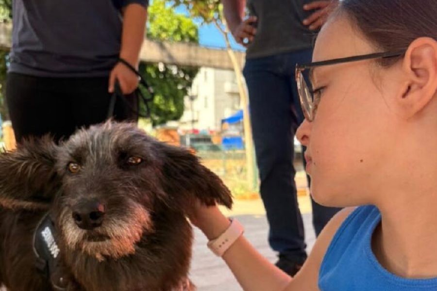 foto-feira-adocao-03-02-2026