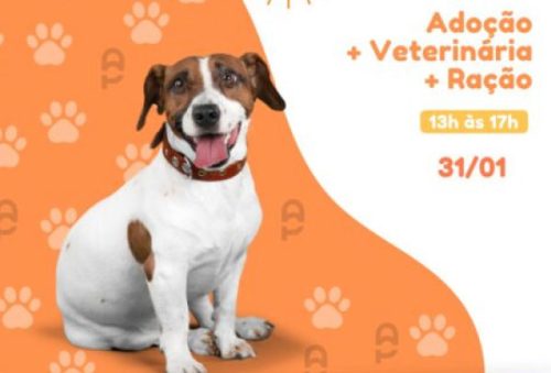 foto-feira-adocao-26-10-2026