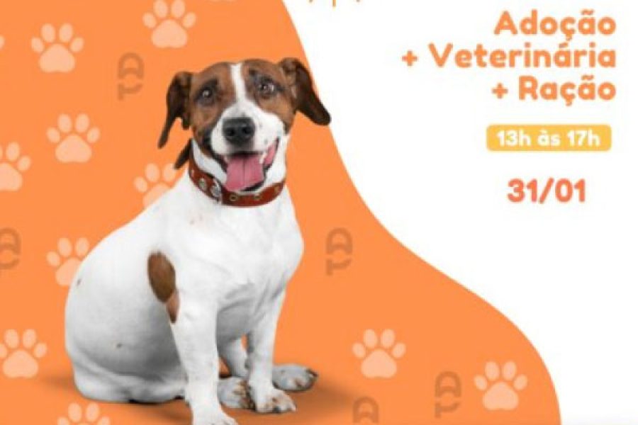 foto-feira-adocao-26-10-2026