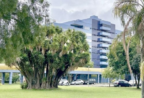 foto-feriadao-06-11-205