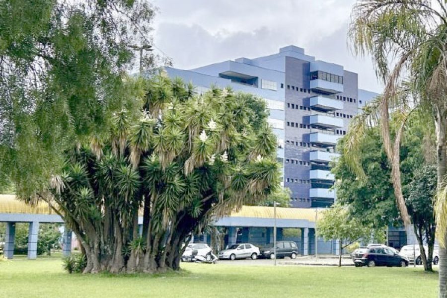 foto-feriadao-06-11-205