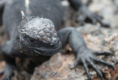 foto-fotografo-premiado-19-12-2025