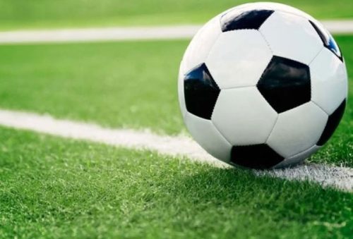 ⠀ 
Foto: Divulgação