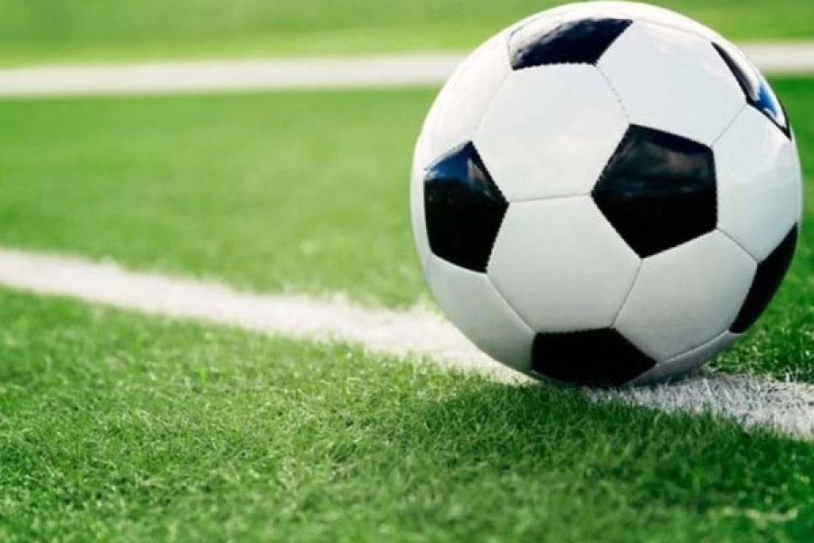 ⠀ 
Foto: Divulgação