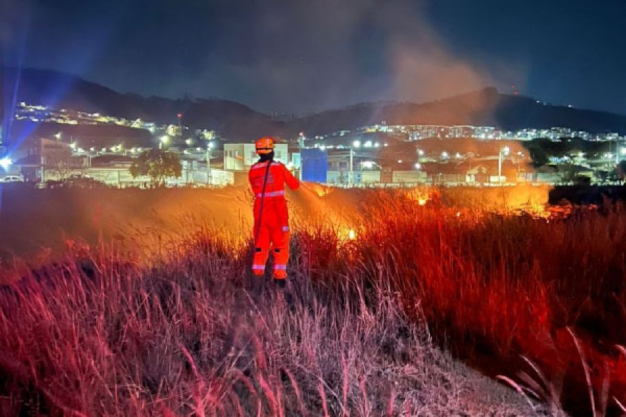 Foto: BMMG/Divulgação 