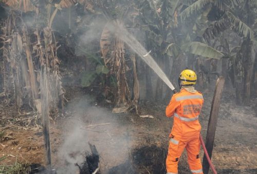 Foto: BMMG/Divulgação