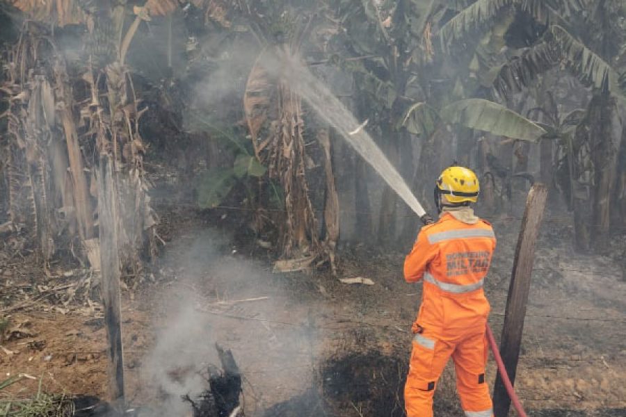Foto: BMMG/Divulgação