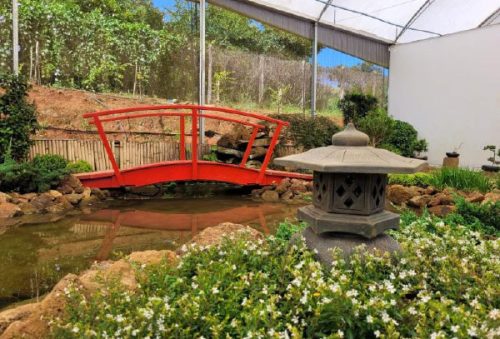 foto-jardim-botanico-06-01-2026