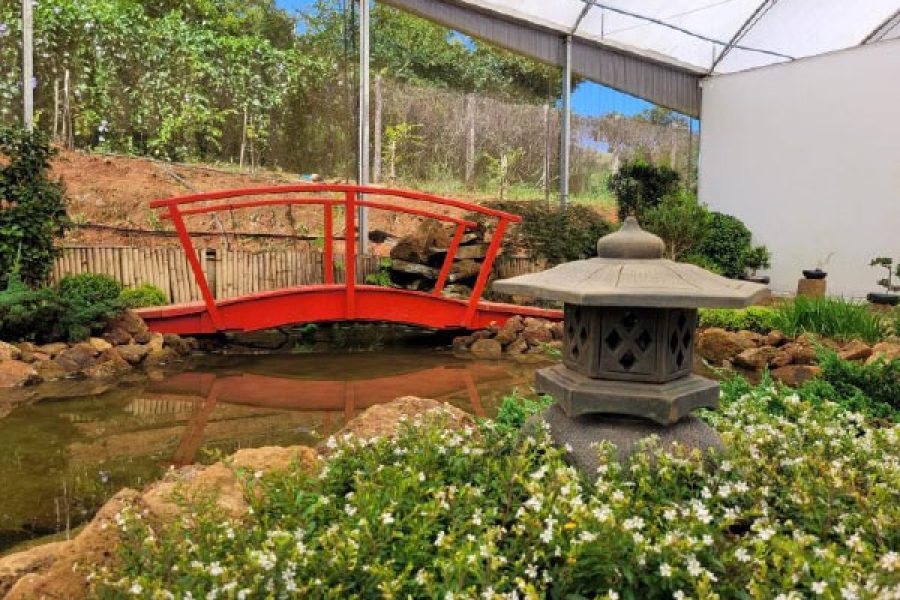 foto-jardim-botanico-06-01-2026