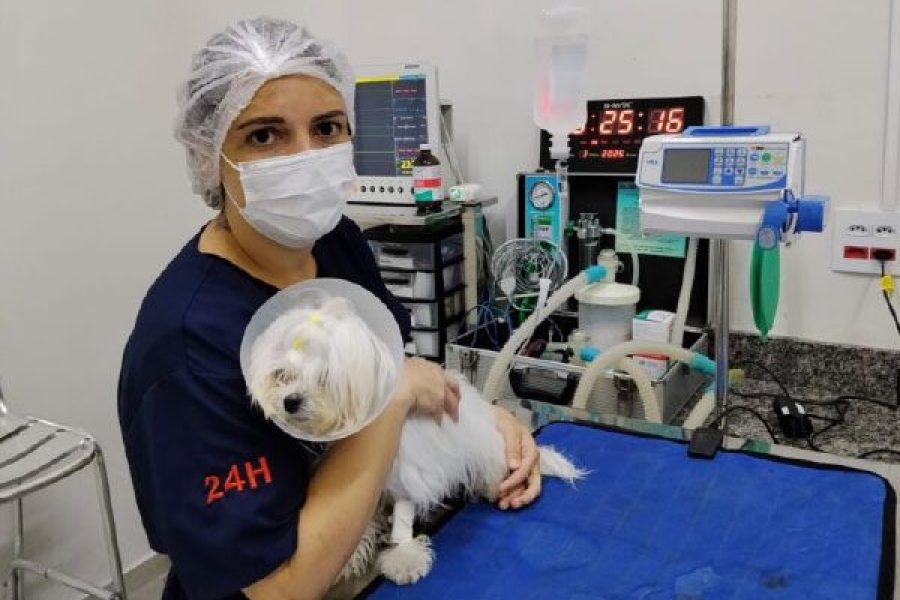 foto-mais-facilidade-pocos-de-caldas-implanta-cadastro-on-line-para-castracao-animal-30-04-26