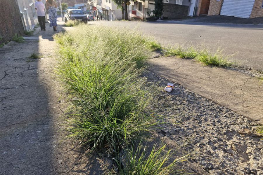 foto-matagal-colunao-01-12-2025