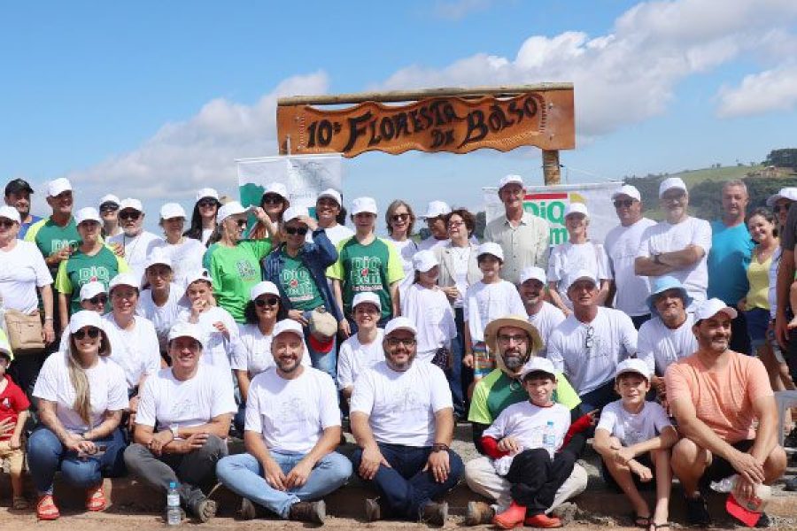 foto-nova-floresta-de-bolso-traz-espaco-verde-para-divinolandia-25-03-26