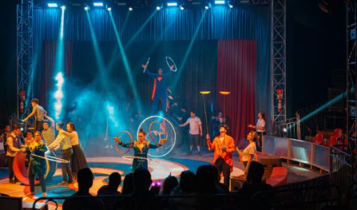 foto-circo-adefip-12-02-2026