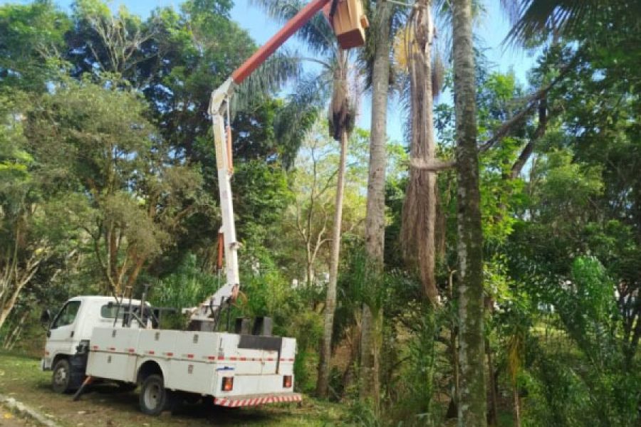 Foto: PMPC/Divulgação