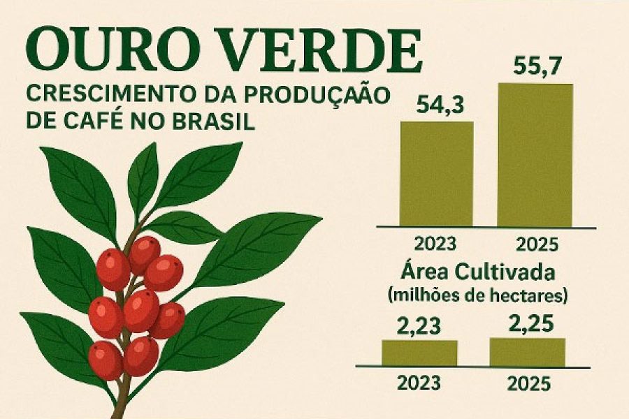 foto-ouro-verde-06-05-2025