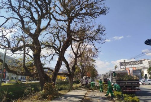 Foto: Divulgação