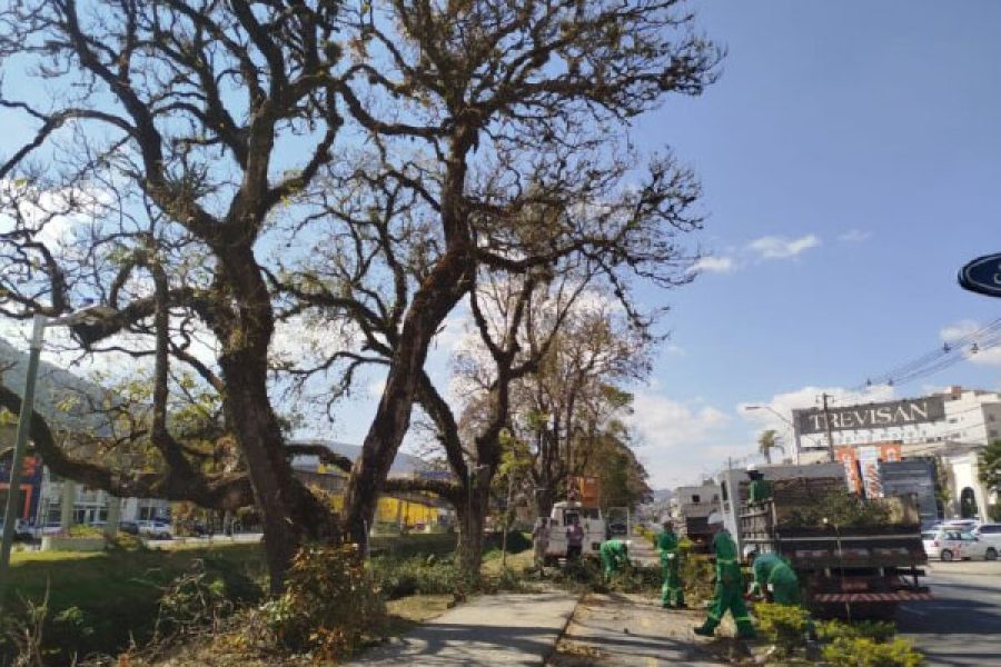 Foto: Divulgação