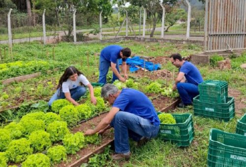 foto-parceria-acoes-socioambientais-17-11-2025