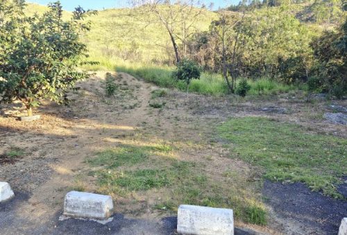 foto-paulista-informacoes-24-04-2026