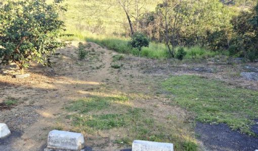 foto-paulista-informacoes-24-04-2026