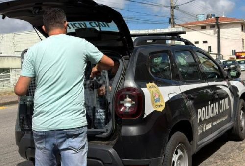 foto-pcmg-cumpre-mandado-de-prisao-com-base-na-lei-maria-da-penha-em-pocos-de-caldas-08-04-26