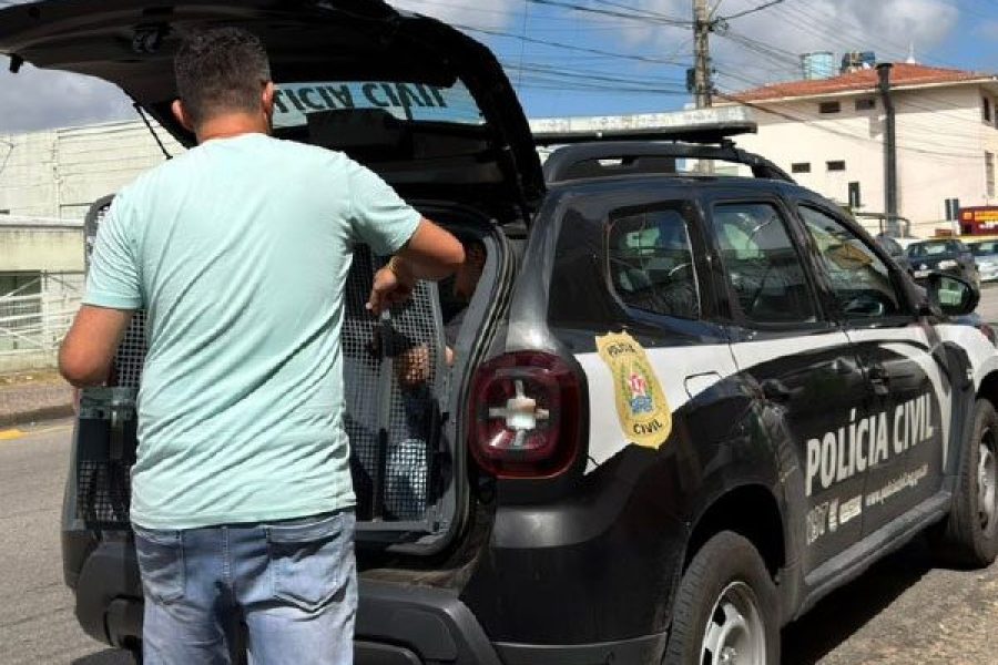 foto-pcmg-cumpre-mandado-de-prisao-com-base-na-lei-maria-da-penha-em-pocos-de-caldas-08-04-26