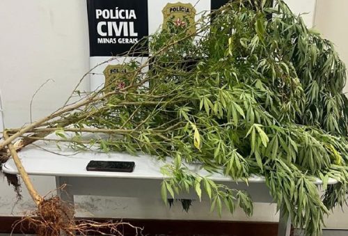 foto-pcmg-drogas-13-02-2026