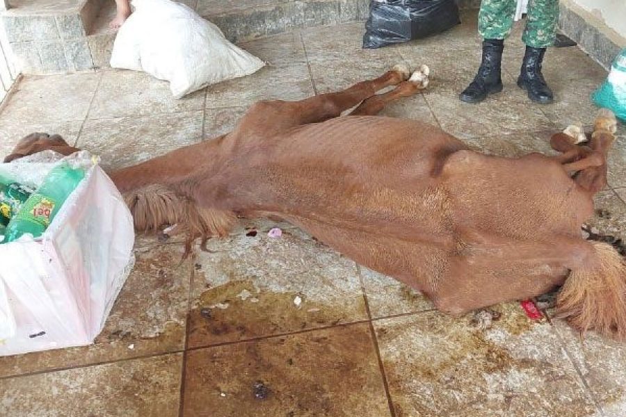 foto-pm-prisao26-03-2026