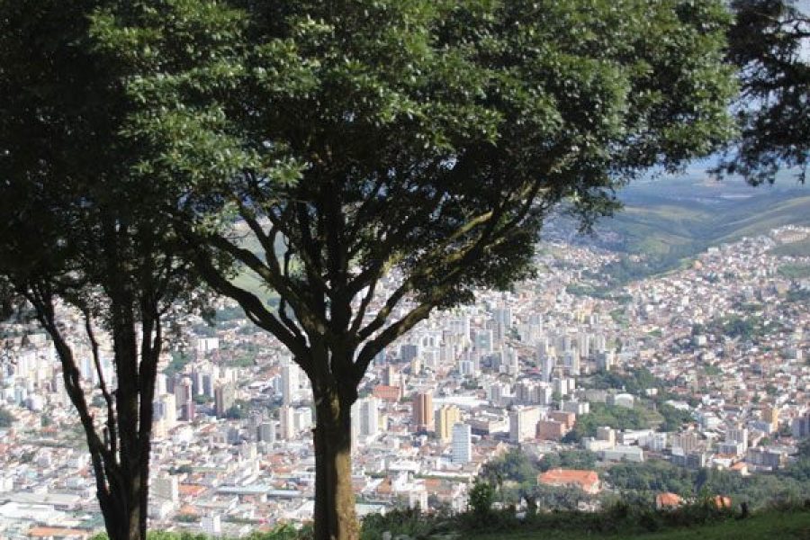 foto-ips-brasil-21-05-2026