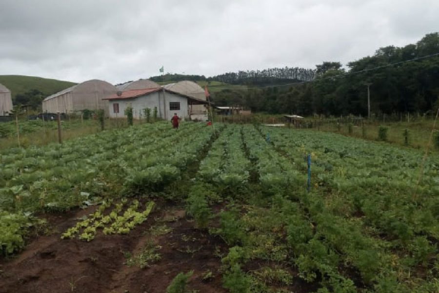 foto-agricultura-familiar-08-01-2026