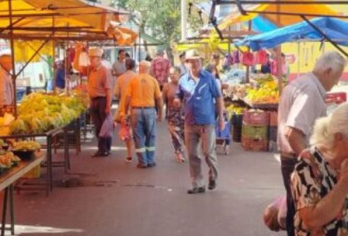 foto-prefeitura-abre-inscricoes-para-selecao-de-feirantes-da-feira-organica-de-produtos-naturais-e-artesanais-22-05-25
