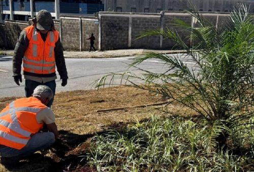 Foto: PMPC/Divulgação