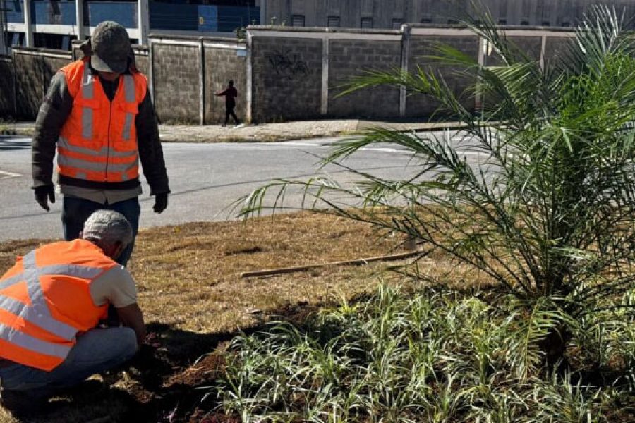 Foto: PMPC/Divulgação