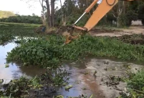 foto-prefeitura-de-pocos-de-caldas-intensifica-remocao-de-aguapes-na-represa-bortolan-22-05-25