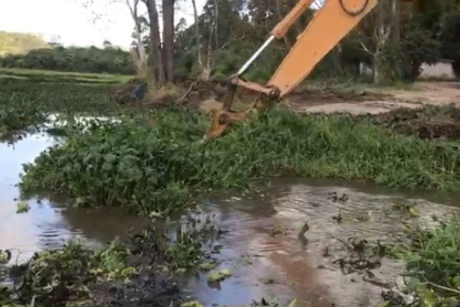 foto-prefeitura-de-pocos-de-caldas-intensifica-remocao-de-aguapes-na-represa-bortolan-22-05-25