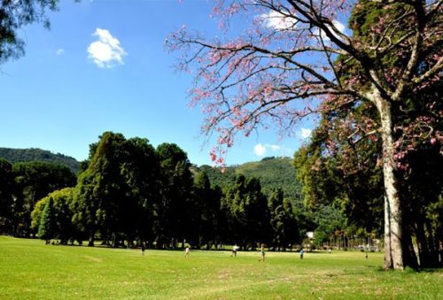 foto-prefeitura-de-pocos-de-caldas-promove-caminhada-no-dia-mundial-sem-carro-22-09-25